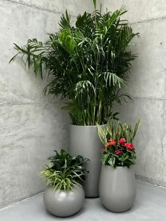 海曙花卉租赁合同模板-江北绿化养护修剪师-镇海花卉租摆价格表-镇海花卉租赁合同模板